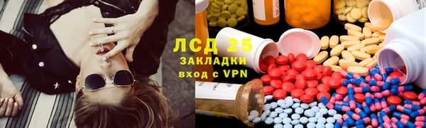 ГАЛЛЮЦИНОГЕННЫЕ ГРИБЫ Беломорск