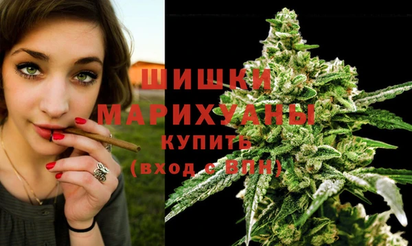гидропоника Арсеньев